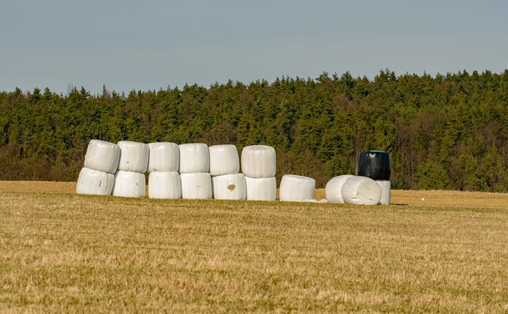 Plastic-wrapped hay bales on a rural field with a forest background under blue skies.