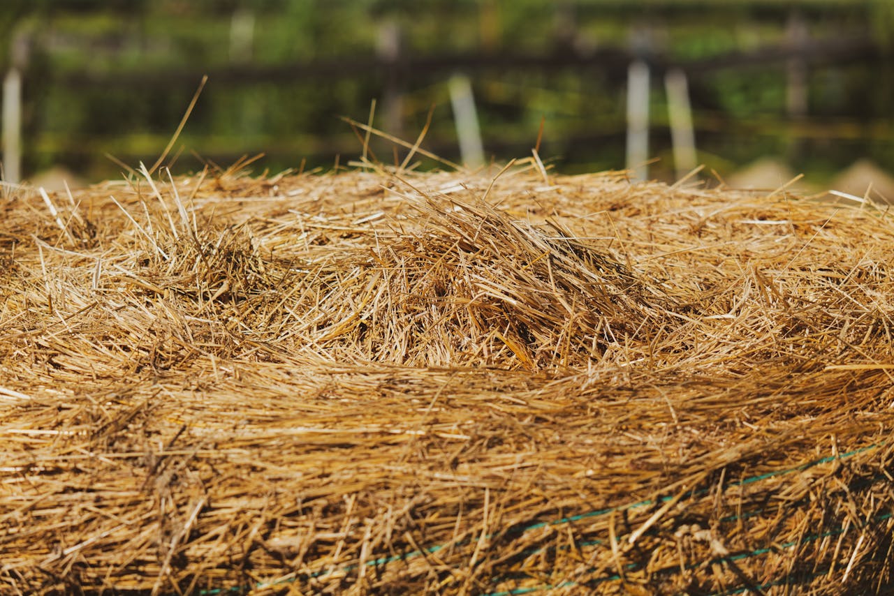 A detailed close-up of a hay bale in Garešnica's rural landscape, perfect for agricultural themes.